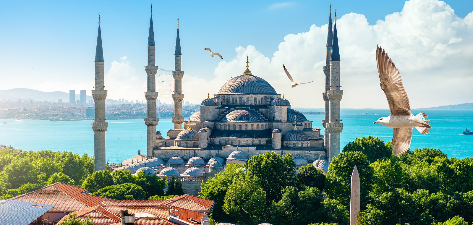 istanbul-turkey-tour